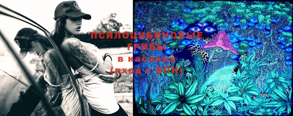 первитин Кодинск