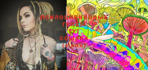 первитин Кодинск