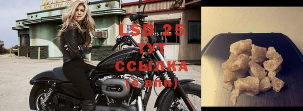 дживик Козельск